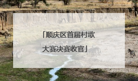 顺庆区首届村歌大赛决赛收官