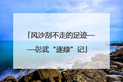 风沙刮不走的足迹——彰武“逐绿”记