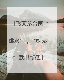 飞天茅台再“跳水”，“蛇茅”跌出新低