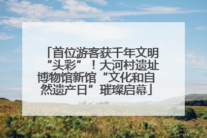 首位游客获千年文明“头彩”！大河村遗址博物馆新馆“文化和自然遗产日”璀璨启幕