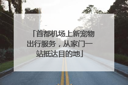 首都机场上新宠物出行服务，从家门一站抵达目的地