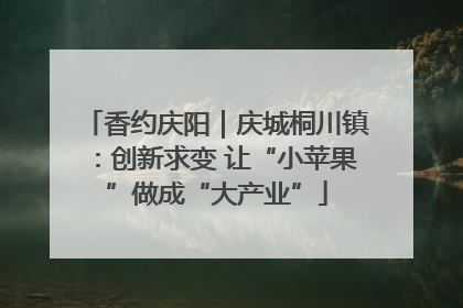 香约庆阳｜庆城桐川镇：创新求变 让“小苹果”做成“大产业”