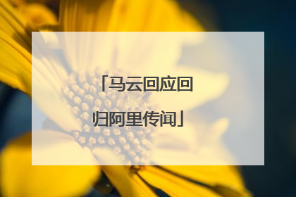 马云回应回归阿里传闻
