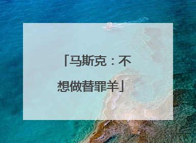 马斯克：不想做替罪羊