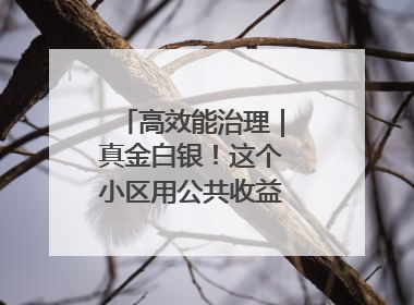 高效能治理｜真金白银！这个小区用公共收益给业主发红包