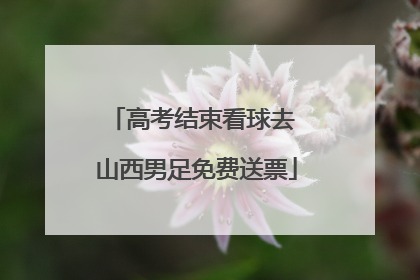 高考结束看球去 山西男足免费送票