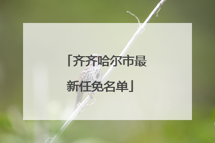 齐齐哈尔市最新任免名单