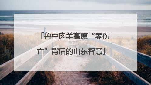 鲁中肉羊高原“零伤亡”背后的山东智慧