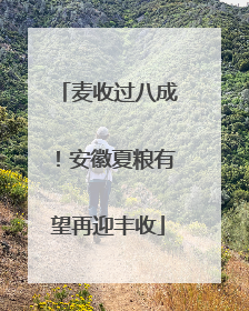 麦收过八成！安徽夏粮有望再迎丰收