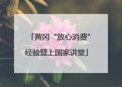 黄冈“放心消费”经验登上国家讲堂