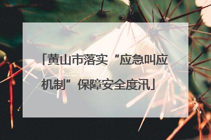 黄山市落实“应急叫应机制”保障安全度汛