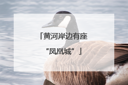 黄河岸边有座“凤凰城”