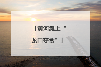 黄河滩上“龙口夺食”