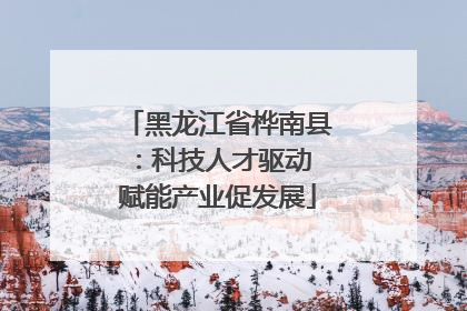 黑龙江省桦南县：科技人才驱动 赋能产业促发展
