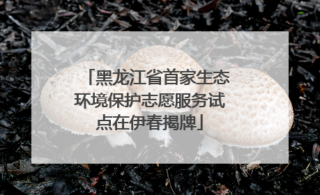 黑龙江省首家生态环境保护志愿服务试点在伊春揭牌