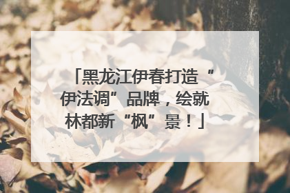 黑龙江伊春打造“伊法调”品牌，绘就林都新“枫”景！