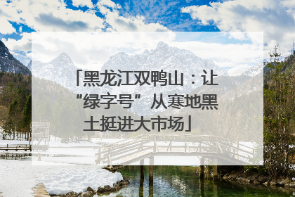 黑龙江双鸭山：让“绿字号”从寒地黑土挺进大市场