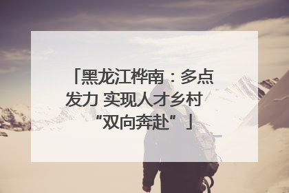 黑龙江桦南：多点发力 实现人才乡村“双向奔赴”