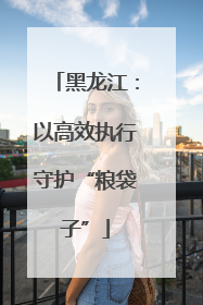 黑龙江：以高效执行守护“粮袋子”
