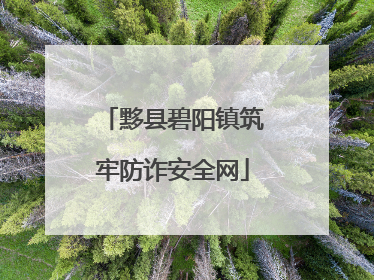 黟县碧阳镇筑牢防诈安全网