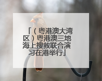 （粤港澳大湾区）粤港澳三地海上搜救联合演习在港举行