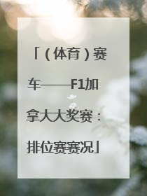 （体育）赛车——F1加拿大大奖赛：排位赛赛况