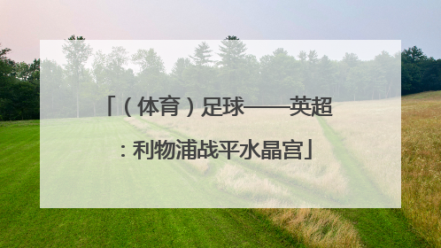 （体育）足球——英超：利物浦战平水晶宫