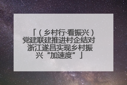 （乡村行·看振兴）党建联建推进村企结对 浙江遂昌实现乡村振兴“加速度”
