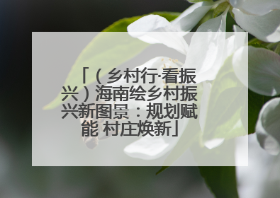 （乡村行·看振兴）海南绘乡村振兴新图景：规划赋能 村庄焕新
