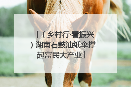 （乡村行·看振兴）湖南石鼓油纸伞撑起富民大产业