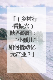 （乡村行·看振兴）陕西略阳：“小瓢儿”如何撬动亿元产业？