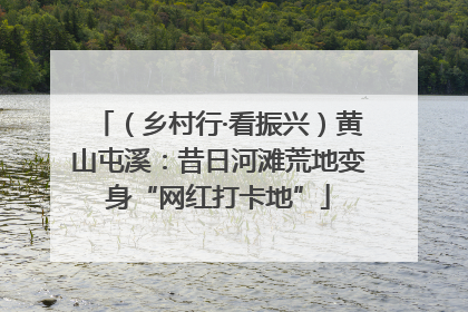 （乡村行·看振兴）黄山屯溪：昔日河滩荒地变身“网红打卡地”
