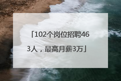 102个岗位招聘463人，最高月薪3万