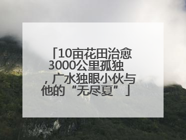 10亩花田治愈3000公里孤独，广水独眼小伙与他的“无尽夏”