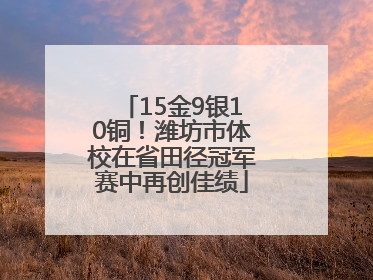 15金9银10铜！潍坊市体校在省田径冠军赛中再创佳绩