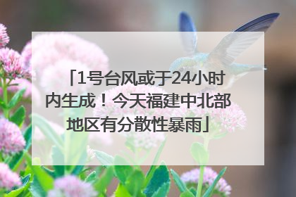 1号台风或于24小时内生成！今天福建中北部地区有分散性暴雨