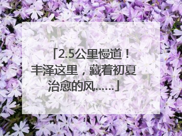 2.5公里慢道！丰泽这里，藏着初夏治愈的风……
