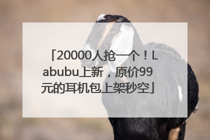 20000人抢一个！Labubu上新，原价99元的耳机包上架秒空