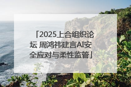 2025上合组织论坛 周鸿祎建言AI安全应对与柔性监管