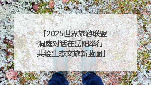 2025世界旅游联盟·洞庭对话在岳阳举行 共绘生态文旅新蓝图