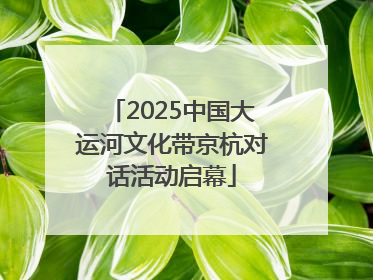 2025中国大运河文化带京杭对话活动启幕