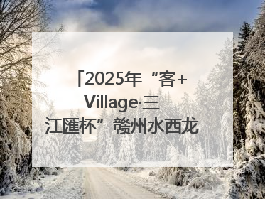 2025年“客+Village·三江匯杯”赣州水西龙舟文化节圆满落幕