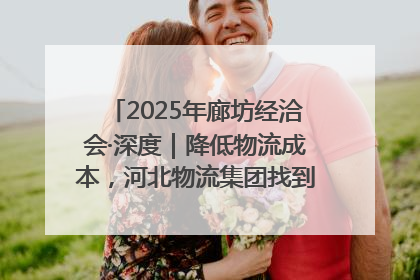 2025年廊坊经洽会·深度｜降低物流成本，河北物流集团找到一把“金钥匙”