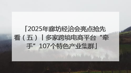 2025年廊坊经洽会亮点抢先看（五）丨多家跨境电商平台“牵手”107个特色产业集群