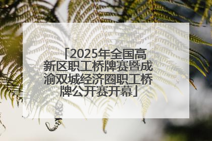 2025年全国高新区职工桥牌赛暨成渝双城经济圈职工桥牌公开赛开幕