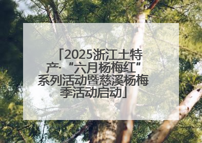 2025浙江土特产·“六月杨梅红”系列活动暨慈溪杨梅季活动启动