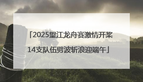 2025望江龙舟赛激情开桨 14支队伍劈波斩浪迎端午