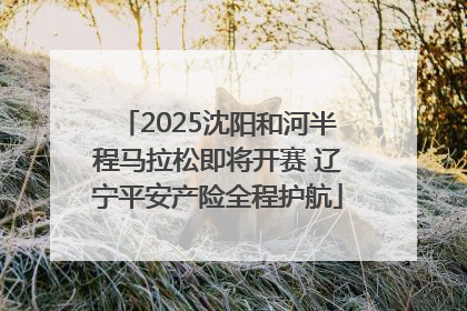 2025沈阳和河半程马拉松即将开赛 辽宁平安产险全程护航