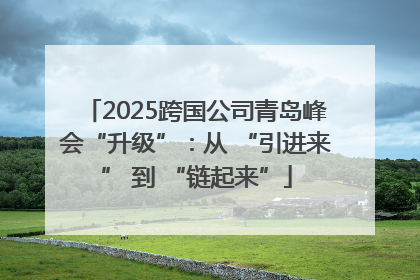 2025跨国公司青岛峰会“升级”：从 “引进来” 到 “链起来”