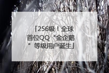 256级！全球首位QQ“金企鹅”等级用户诞生